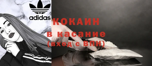 трава Гусев
