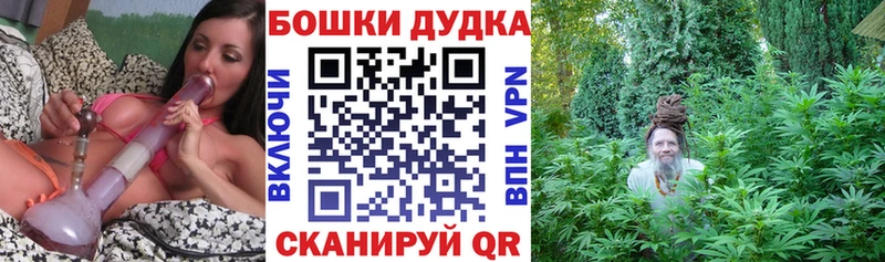Бошки Шишки SATIVA & INDICA  Купить  Чайковский 